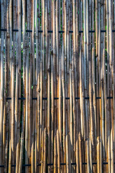 Fond Bambou Avec Lumière Soleil Soirée Thaïlande — Photo