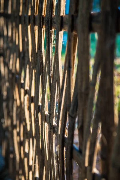 Bambu Bakgrund Med Solljus Kvällen Thailand — Stockfoto