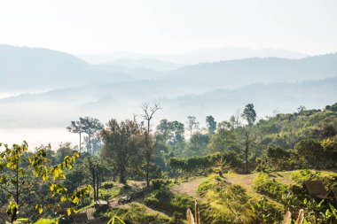 Phu Langka Ulusal Parkı, Tayland Güzel Dağ Manzarası.