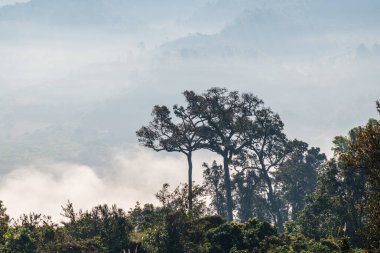 Phu Langka Ulusal Parkı, Tayland Güzel Dağ Manzarası.