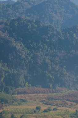 Phu Langka Ulusal Parkı, Tayland Güzel Dağ Manzarası.