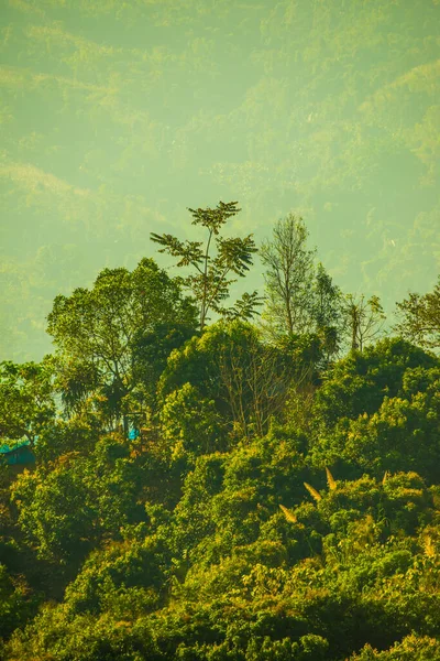Beautiful Mountain View Phu Langka National Park Thailand — Fotografia de Stock