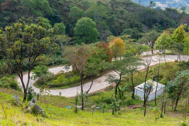 The road is winding and steep at Doi Pha Tang, Chiang Rai Province.
