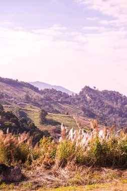 Tayland dağının doğal manzarası.