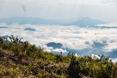 Chiangrai Eyaleti, Tayland 'daki Phu Chi Fa Manzara Noktasında Sis Denizi.