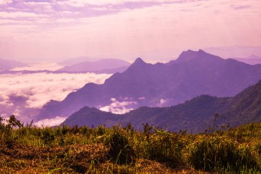 Chiangrai Eyaleti, Tayland 'daki Phu Chi Fa Manzara Noktasında Sis Denizi.
