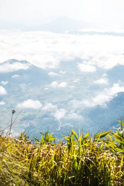 Chiangrai Eyaleti, Tayland 'daki Phu Chi Fa Manzara Noktasında Sis Denizi.