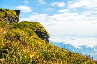 Chiangrai, Tayland 'da Fog Sea ile Phu Chi Fa Manzara Noktası.