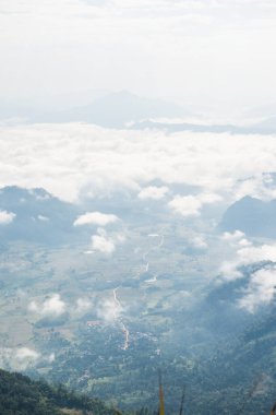 Chiangrai Eyaleti, Tayland 'daki Phu Chi Fa Manzara Noktasında Sis Denizi.