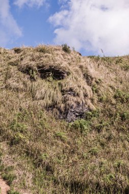 Chiangrai Eyaleti, Tayland Phu Chi Fa Manzara Noktası.