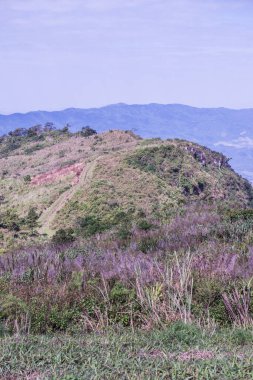 Tayland 'ın Chiangrai eyaletindeki Phu Chi Fa Manzarası' nda Dağ Manzarası.