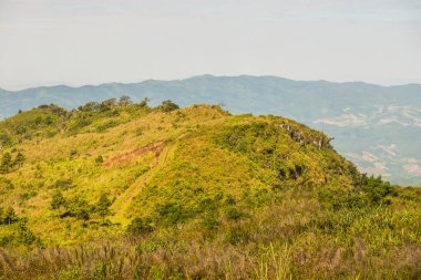 Tayland 'ın Chiangrai eyaletindeki Phu Chi Fa Manzarası' nda Dağ Manzarası.