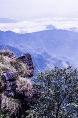 Tayland 'ın Chiangrai eyaletindeki Phu Chi Fa Manzarası' nda Dağ Manzarası.