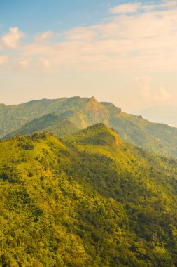 Tayland 'ın Chiangrai eyaletindeki Phu Chi Fa Manzarası' nda Dağ Manzarası.