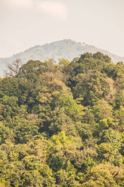 Tayland 'ın Chiangrai eyaletindeki Phu Chi Fa Manzarası' nda Dağ Manzarası.