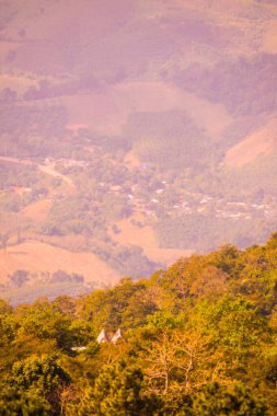 Phu Chi Fa Manzaralı Şehir Köyü, Tayland.