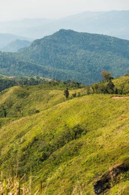 Tayland 'ın Chiangrai eyaletindeki Phu Chi Fa Manzarası' nda Dağ Manzarası.