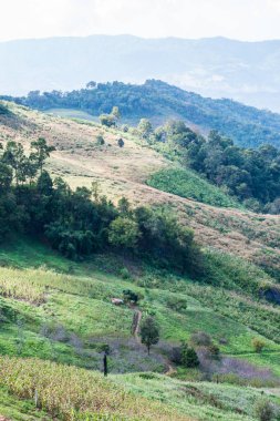 Tayland 'ın Chiangrai Eyaletinde Dağ Manzarası.