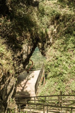Chiangrai, Tayland 'da Doi Pha Tang' da Manzara Noktası.
