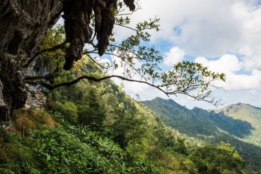 Chiangrai, Tayland 'da Doi Pha Tang' da Manzara Noktası.