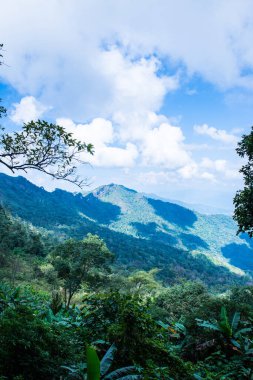 Chiangrai, Tayland 'da Doi Pha Tang' da Manzara Noktası.