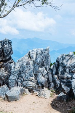 Chiangrai, Tayland 'da Doi Pha Tang' da Manzara Noktası.
