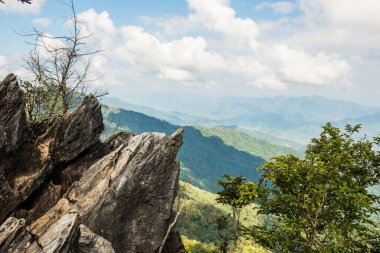 Chiangrai, Tayland 'da Doi Pha Tang' da Manzara Noktası.