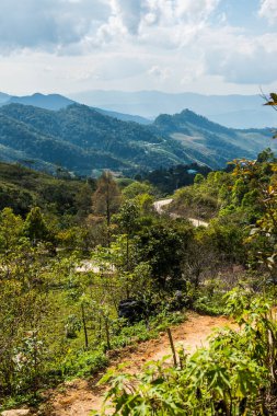Tayland 'ın Chiangrai eyaletindeki Doi Pha Tang' da Dağ Manzarası.