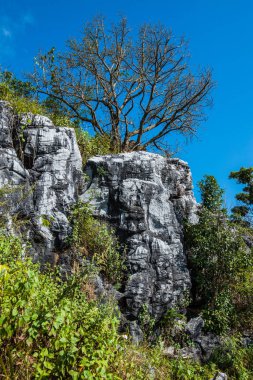 Chiangrai, Tayland 'da Doi Pha Tang' da Manzara Noktası.