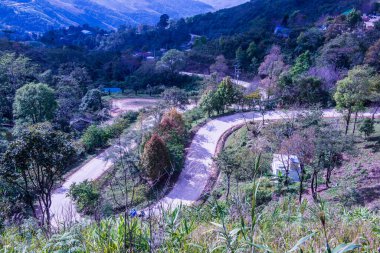 Chiangrai, Tayland 'da Doi Pha Tang yolu..