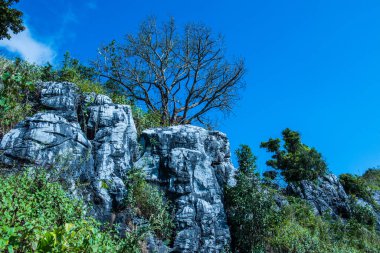 Chiangrai, Tayland 'da Doi Pha Tang' da Manzara Noktası.