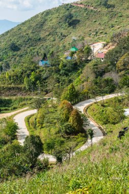 Chiangrai, Tayland 'da Doi Pha Tang yolu..