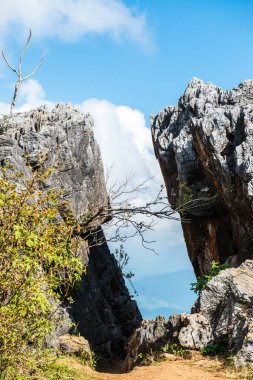 Chiangrai, Tayland 'da Doi Pha Tang' da Manzara Noktası.