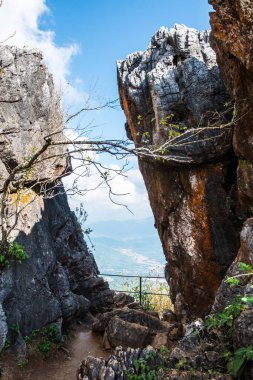 Chiangrai, Tayland 'da Doi Pha Tang' da Manzara Noktası.