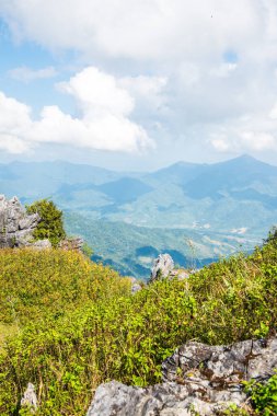 Chiangrai, Tayland 'da Doi Pha Tang' da Manzara Noktası.
