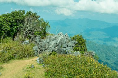 Chiangrai, Tayland 'da Doi Pha Tang' da Manzara Noktası.