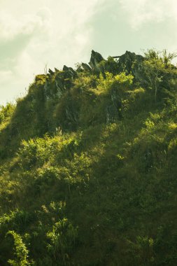 Tayland 'ın Chiangrai eyaletindeki Doi Pha Tang' da Dağ Manzarası.