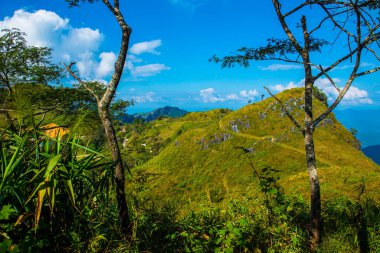 Tayland 'ın Chiangrai eyaletindeki Doi Pha Tang' da Dağ Manzarası.