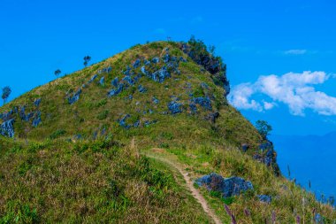 Tayland 'ın Chiangrai eyaletindeki Doi Pha Tang' da Dağ Manzarası.