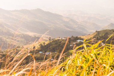 Tayland 'ın Chiangrai eyaletindeki Doi Pha Tang' da Dağ Manzarası.