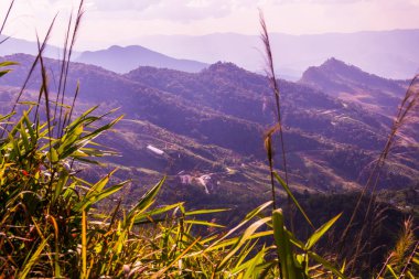 Tayland 'ın Chiangrai eyaletindeki Doi Pha Tang' da Dağ Manzarası.
