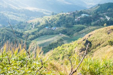 Tayland 'ın Chiangrai eyaletindeki Doi Pha Tang' da Dağ Manzarası.