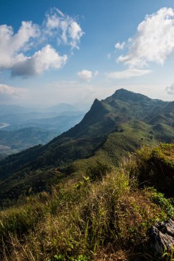 Tayland 'ın Chiangrai eyaletindeki Doi Pha Tang' da Dağ Manzarası.