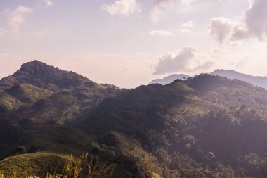 Tayland 'ın Chiangrai eyaletindeki Doi Pha Tang' da Dağ Manzarası.