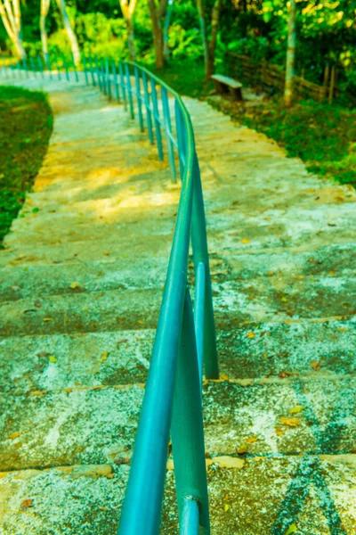 Walkway Doi Phu Nang National Park Thajsko — Stock fotografie
