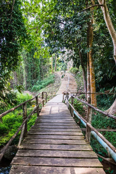 タイのドイ ナン国立公園にある小さな橋 — ストック写真