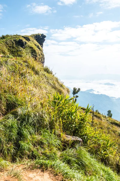 stock image Phu Chi Fa View Point in Chiangrai Province, Thailand.