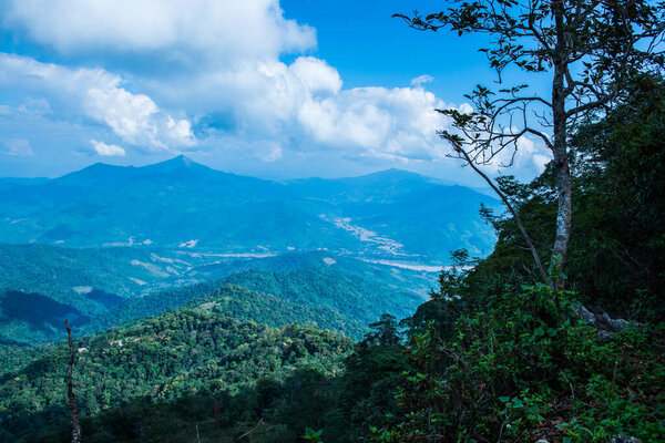 Mountain View at Doi Pha Tang in Chiangrai Province, Thailand.