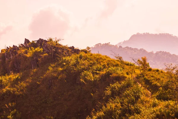 Θέα Στο Βουνό Στο Doi Pha Tang Στην Επαρχία Chiangrai — Φωτογραφία Αρχείου