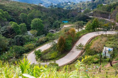 The road is winding and steep at Doi Pha Tang, Chiang Rai Province.